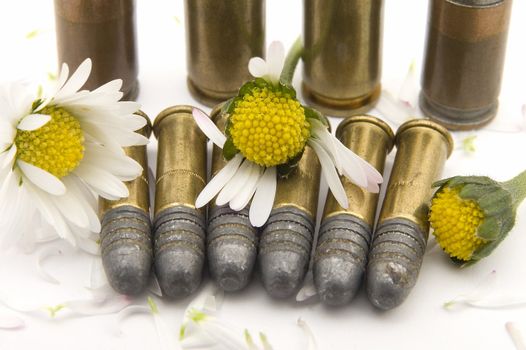 several gun bullets on white background, crushed yellow flowers with white petals