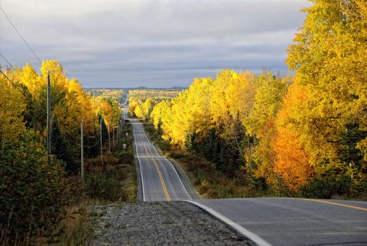 Picture of an asphalt road in autumn