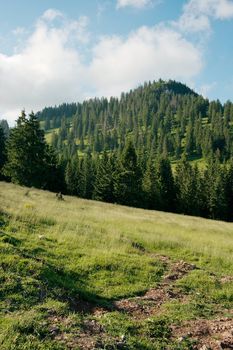 Green mountain landscape