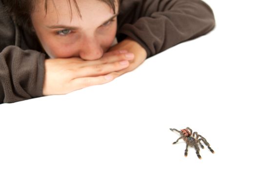 Girl watching a crawling spider