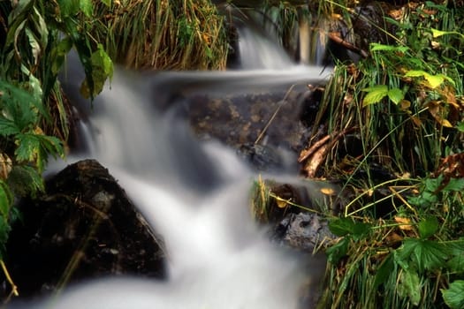 Stream in mountain with green grass and rocks