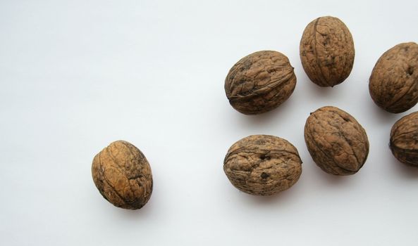 Whole walnuts on spread white background
