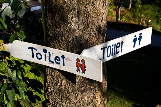 toilet sing in pai district maehongson  thailand