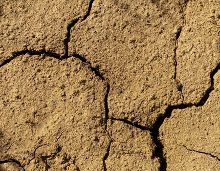 Closeup of an arid soil after a drought