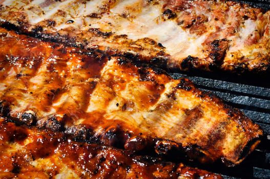 BBQ Pork Ribs on the Grill