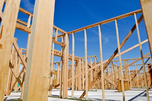 New Home Construction