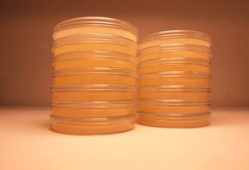 Research agar test plates for bacterial colony growth