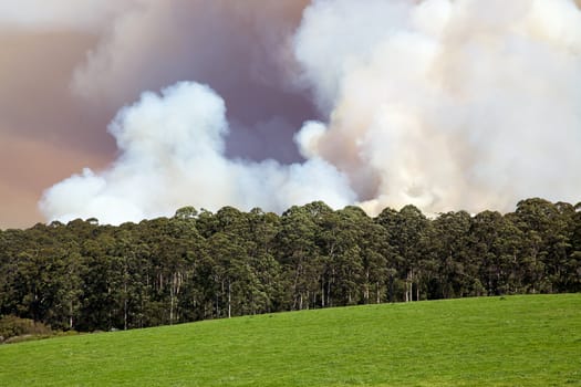 A forest fire near the town of Pemberton in Western Australia.