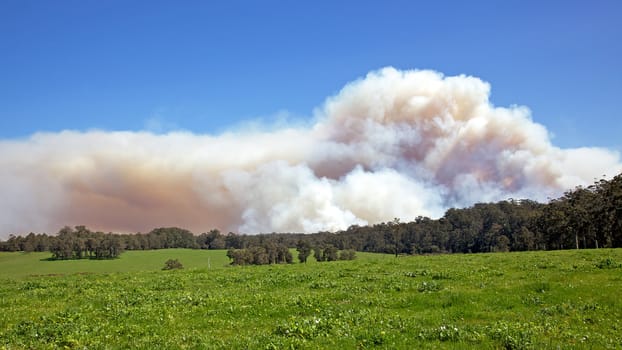 A forest fire near the town of Pemberton in Western Australia.