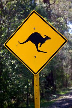 A roadside kangaroo warning sign in rural Australia.
