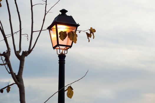 Street lamp at dusk, autumnal urban scene