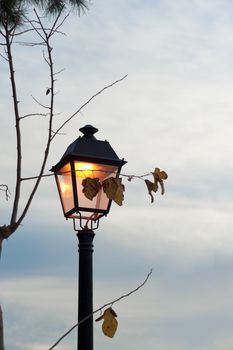 Street lamp at dusk, autumnal urban scene