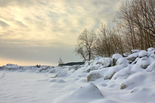 The stones and trees on the beach, covered with snow, Russia.