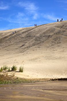 Dune Boarding at 90 Mile Beach on North Island, New Zealand.