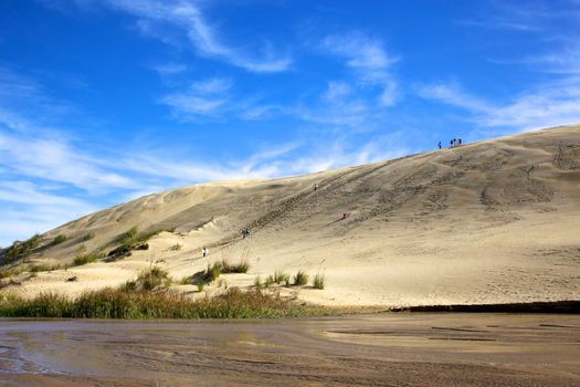 Dune Boarding at 90 Mile Beach on North Island, New Zealand.