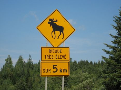 traffic sign warning for moose in quebec
"very high risk"