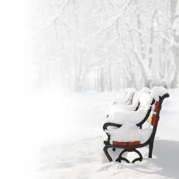 Red benches in the fog in winter with space for text 