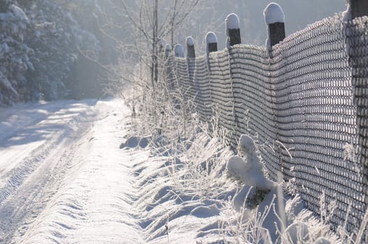 Countryside path in winter with trees and fence covered with snow