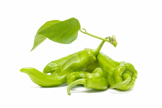 freshly harvested green peppers on a white background
