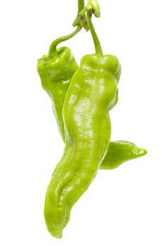 freshly harvested green peppers on a white background
