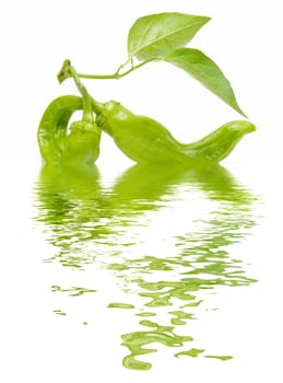 freshly harvested green peppers on a white background
