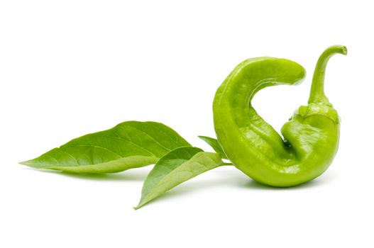 freshly harvested green peppers on a white background
