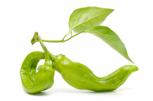 freshly harvested green peppers on a white background
