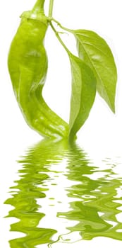 freshly harvested green peppers on a white background
