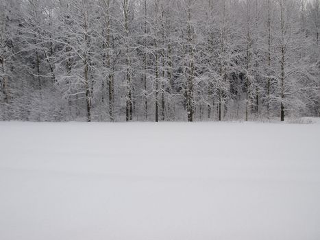 Truly white winter background