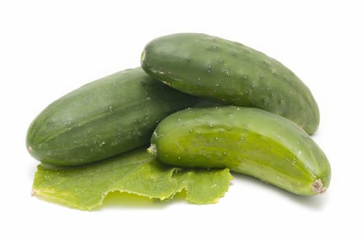 freshly harvested cucumbers on white background
