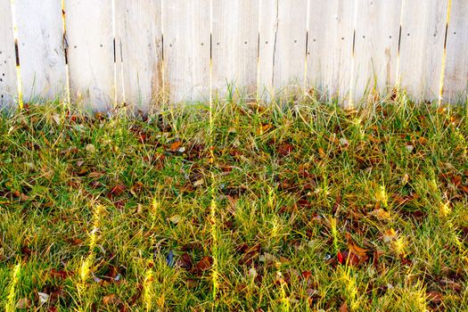 A picture of some grass and a fence.