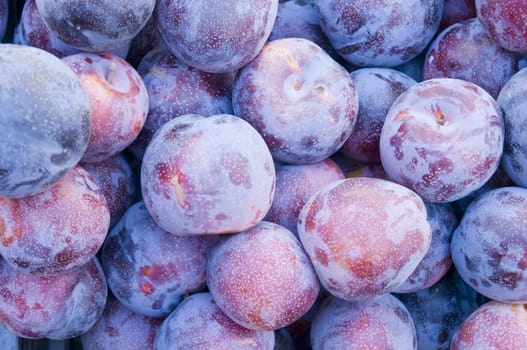 fresh plums in the market showing the texture