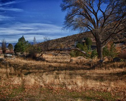 An HDR nature scene.