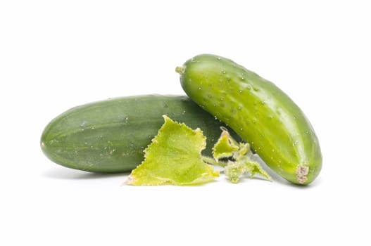 freshly harvested cucumbers on white background
