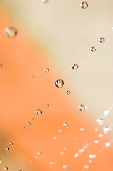 Water drops on spider web. Autumn photo