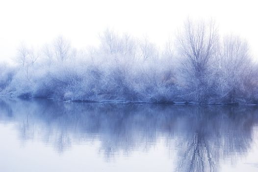 White winter landscape - frozen trees reflected in water