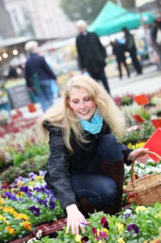 Young blond woman buys flowers viola or pansy on the market
