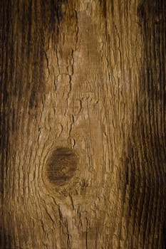 Old gnarled wooden texture close up