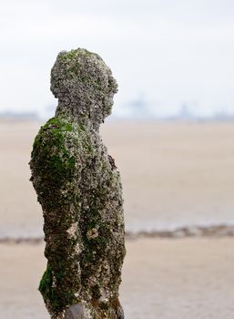 CROSBY BEACH, ENGLAND - SEPTEMBER 24: Statues forming Another Place by Antony Gormley on Crosby Beach on September 24, 2011. The statues are slowly rusting away with the tides and wind.