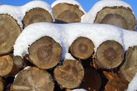 A stack of pine logs covered with snow, suitable for backgrounds. Photographed in Salo, Finland 2010.