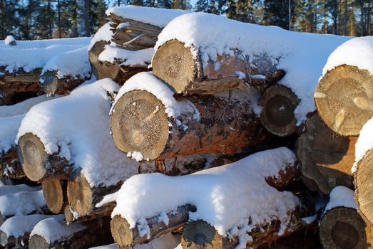 A stack of pine logs with snow and ice crystals on a cold day in December. Photographed in Salo, Finland 2010.