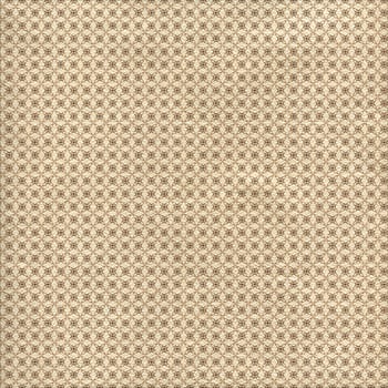 the vintage shabby background with classy patterns