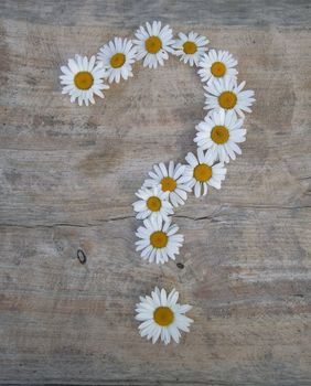 Daisy exclamation sign on wooden background
