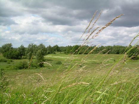 landscape, plains, elevation, green landscape, valleys, hills, berms 