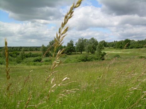 landscape, plains, elevation, green landscape, valleys, hills, berms 