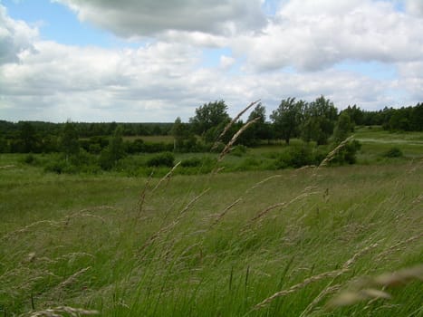 landscape, plains, elevation, green landscape, valleys, hills, berms 