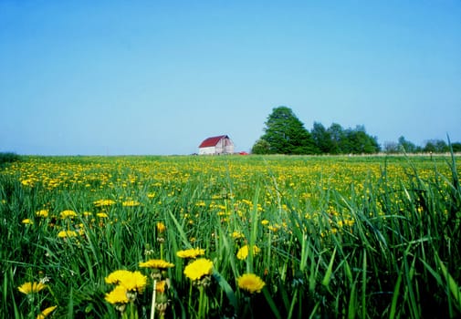 Farm field with a barn