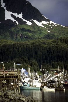 Harbor, Alaska