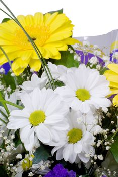 Beautiful bouquet with white camomiles and yellow gerbers