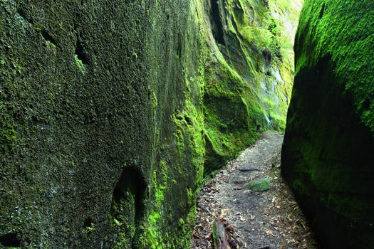 A mossy narrow corridor through giant rocks in Alabama.